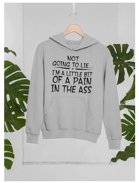 I'm Not Going To Lie Hoodie